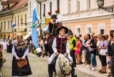 Povorka ob dnevih narodnih noš in oblačilne dedščine (63)